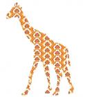Girafe 0086